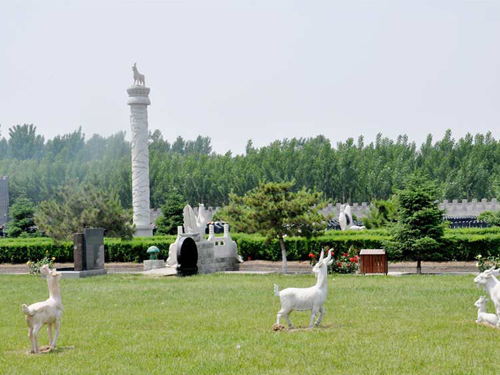 极乐园陵园环境1